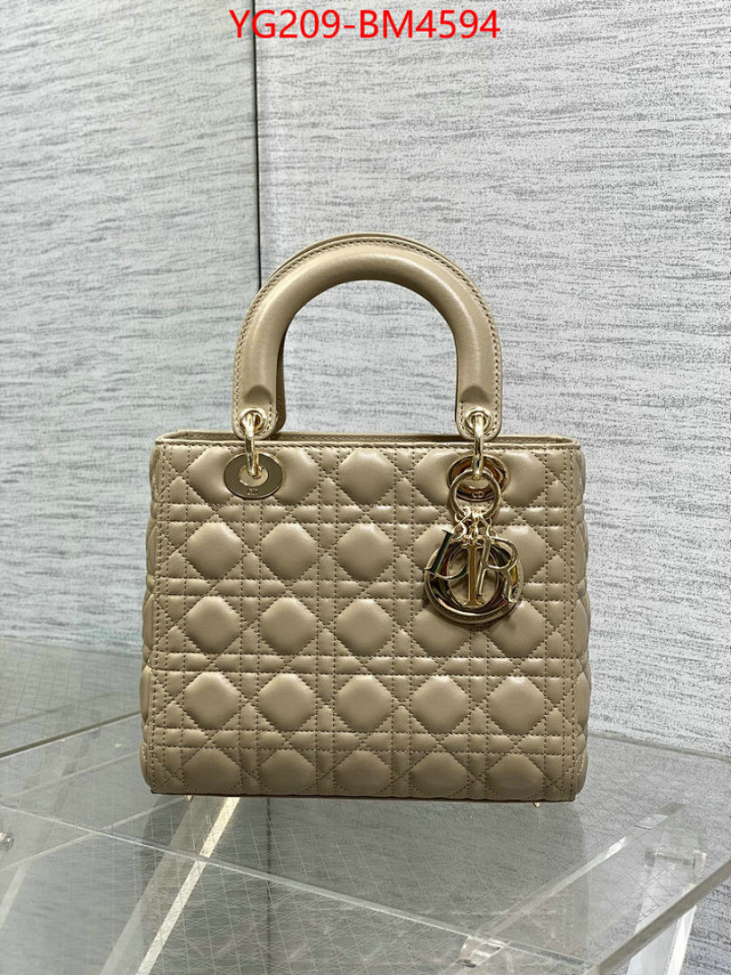 Dior Bags(TOP)-Lady- ID: BM4594 $: 209USD,