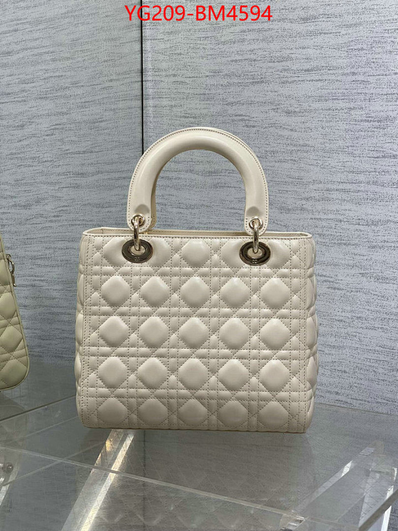 Dior Bags(TOP)-Lady- ID: BM4594 $: 209USD,