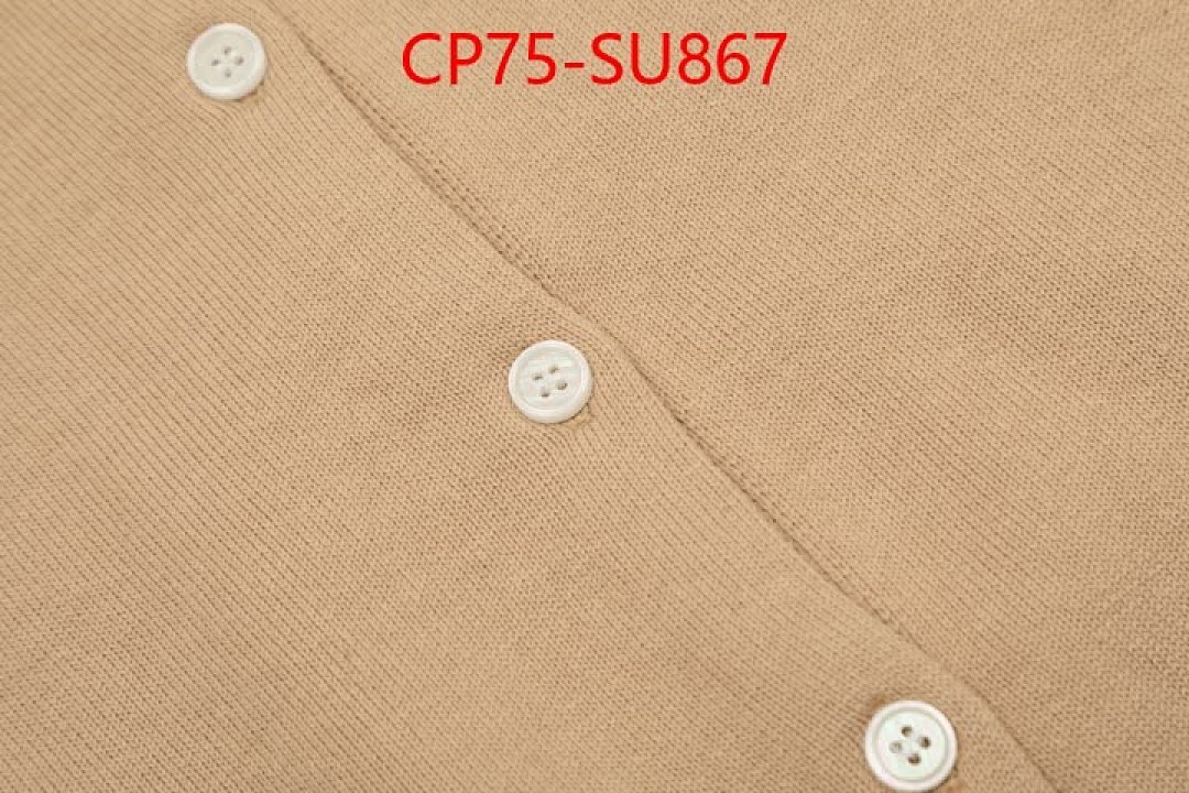 Clothing-Ralph Lauren ID: SU867 $: 75USD