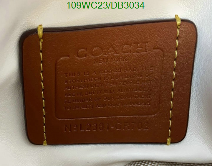 buy best quality replica 1:1 Replica Coach Bag Code: DB3034
