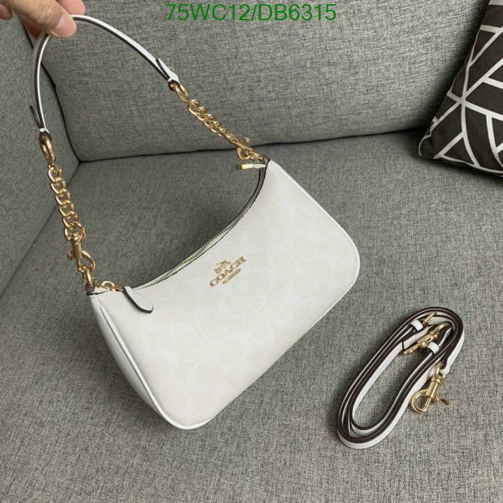 top Replica AAA+ Coach Bag Code: DB6315