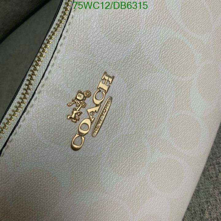 top Replica AAA+ Coach Bag Code: DB6315