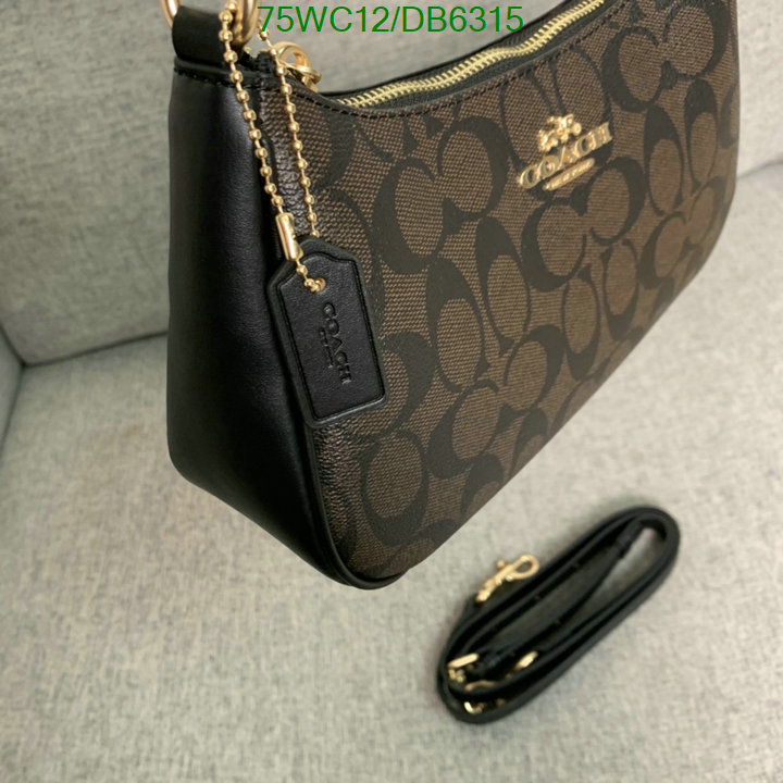 top Replica AAA+ Coach Bag Code: DB6315