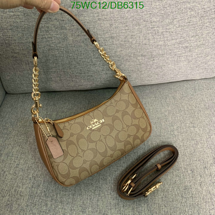 top Replica AAA+ Coach Bag Code: DB6315