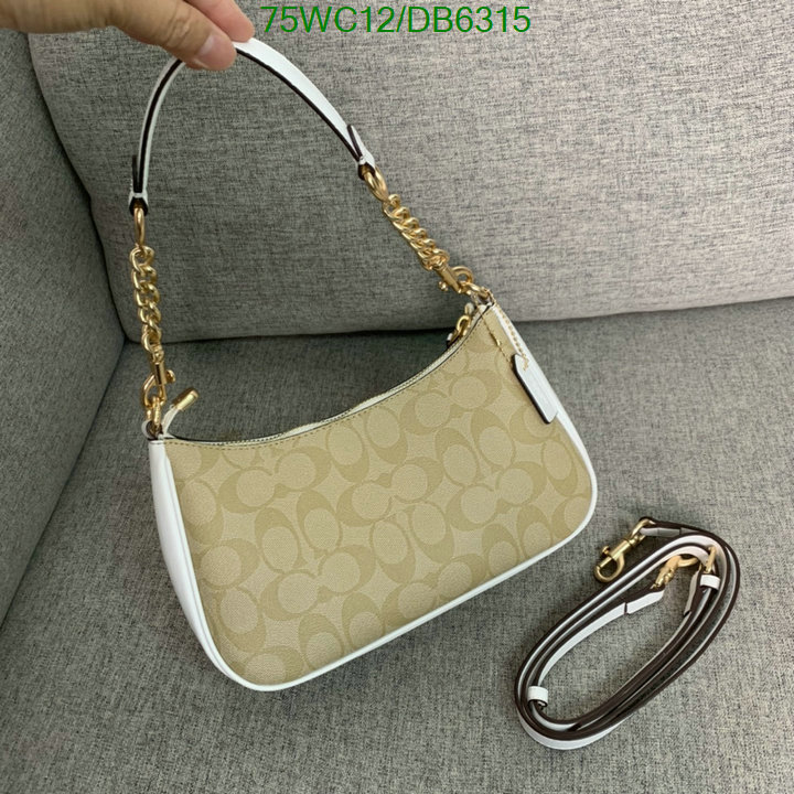 top Replica AAA+ Coach Bag Code: DB6315