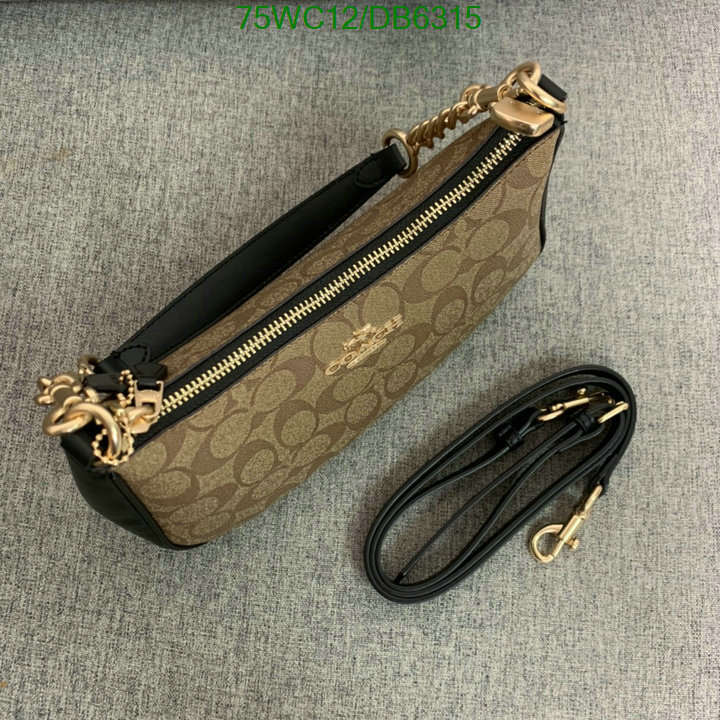 top Replica AAA+ Coach Bag Code: DB6315