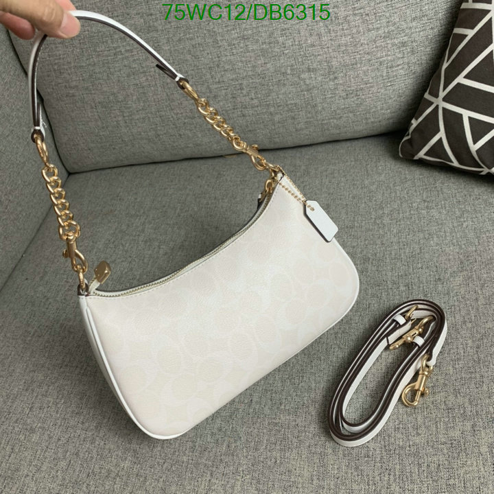 top Replica AAA+ Coach Bag Code: DB6315