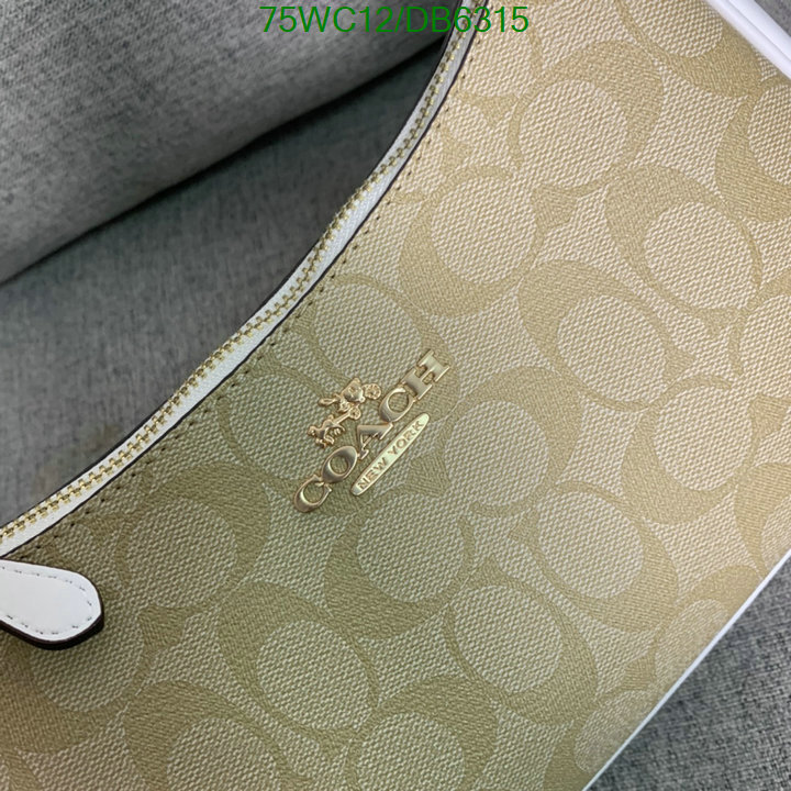 top Replica AAA+ Coach Bag Code: DB6315