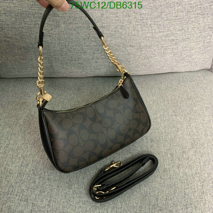 top Replica AAA+ Coach Bag Code: DB6315