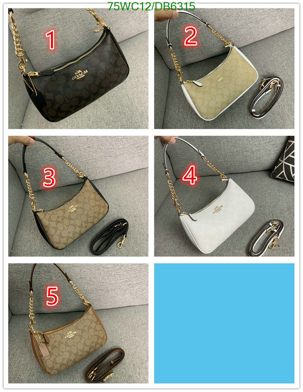 top Replica AAA+ Coach Bag Code: DB6315