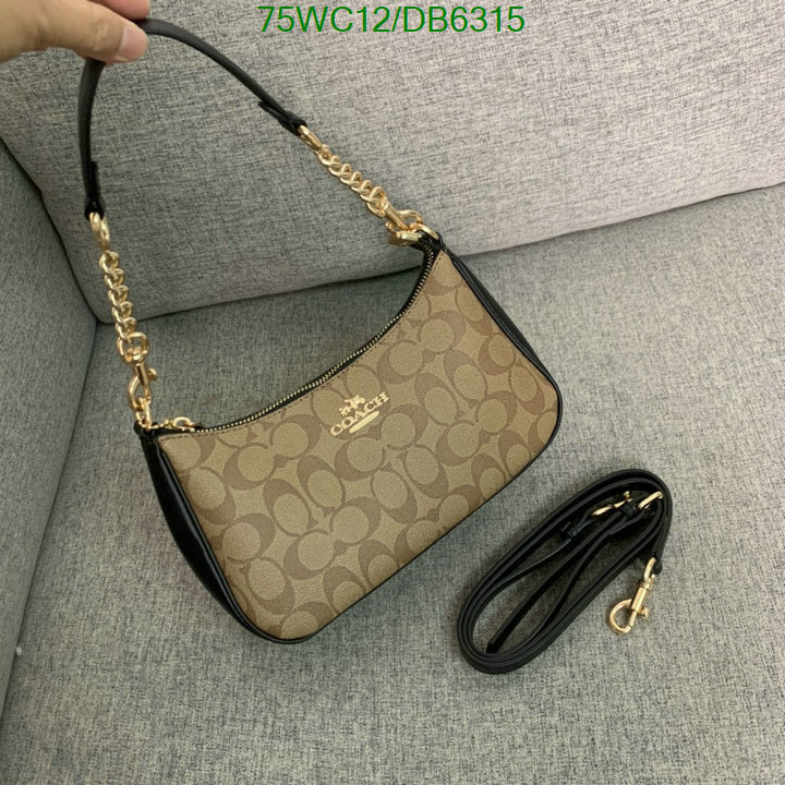 top Replica AAA+ Coach Bag Code: DB6315