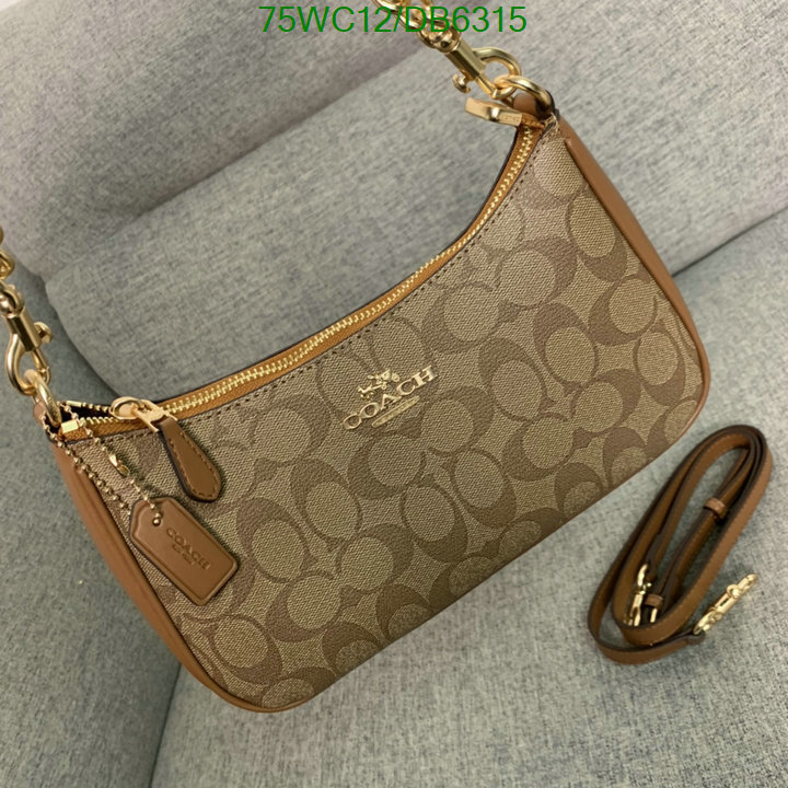 top Replica AAA+ Coach Bag Code: DB6315