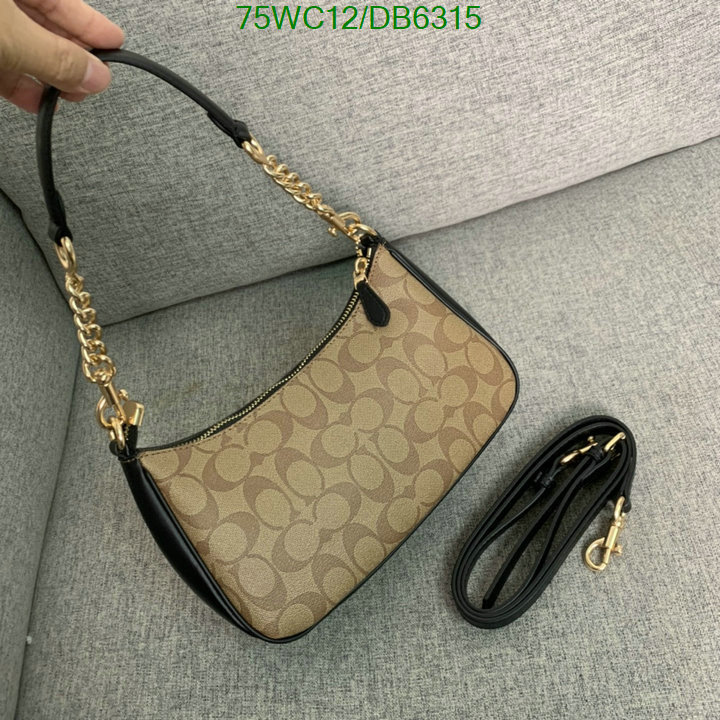 top Replica AAA+ Coach Bag Code: DB6315