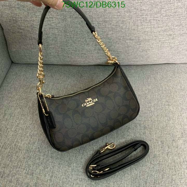 top Replica AAA+ Coach Bag Code: DB6315