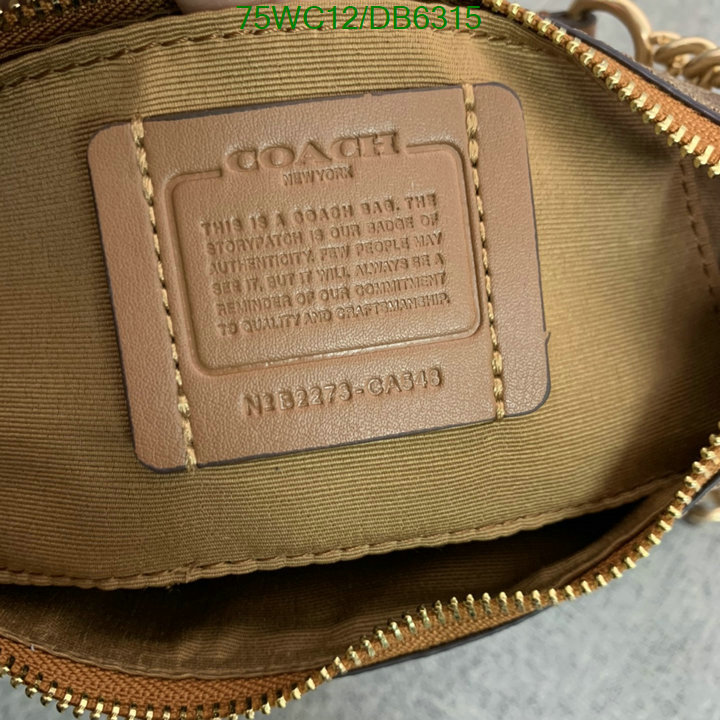 top Replica AAA+ Coach Bag Code: DB6315