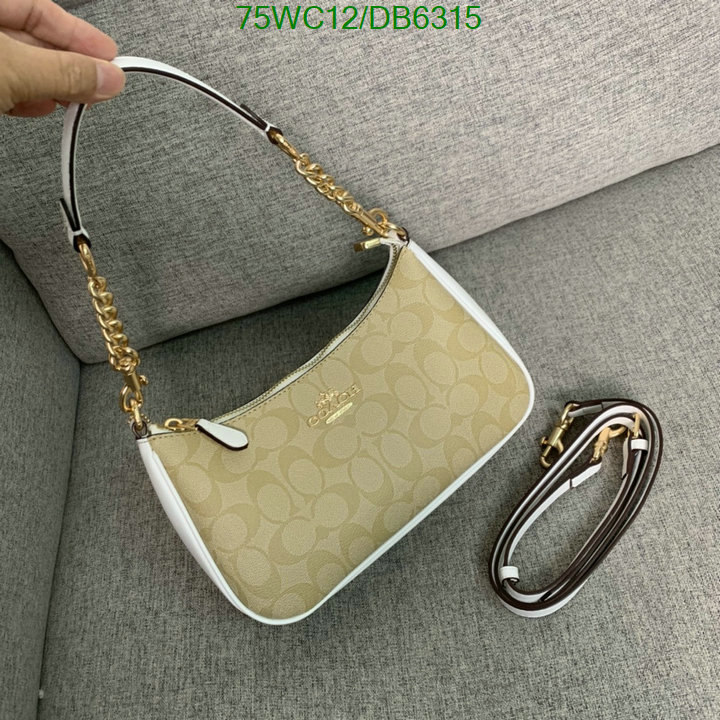 top Replica AAA+ Coach Bag Code: DB6315