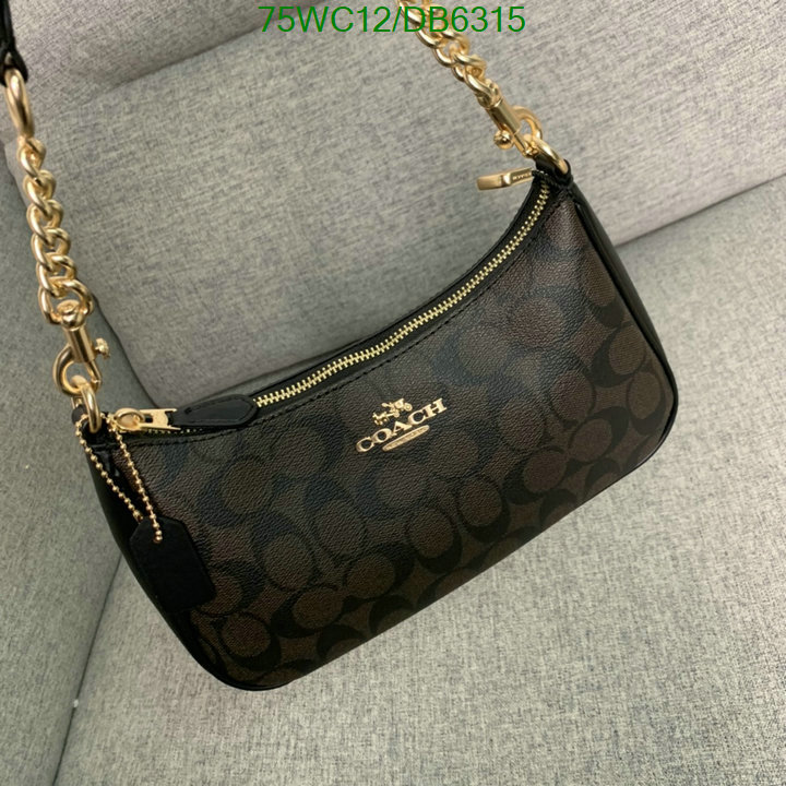 top Replica AAA+ Coach Bag Code: DB6315