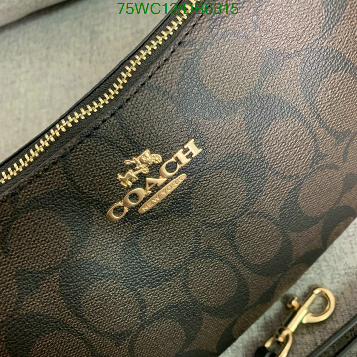 top Replica AAA+ Coach Bag Code: DB6315