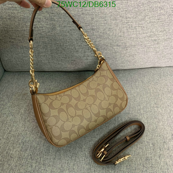 top Replica AAA+ Coach Bag Code: DB6315