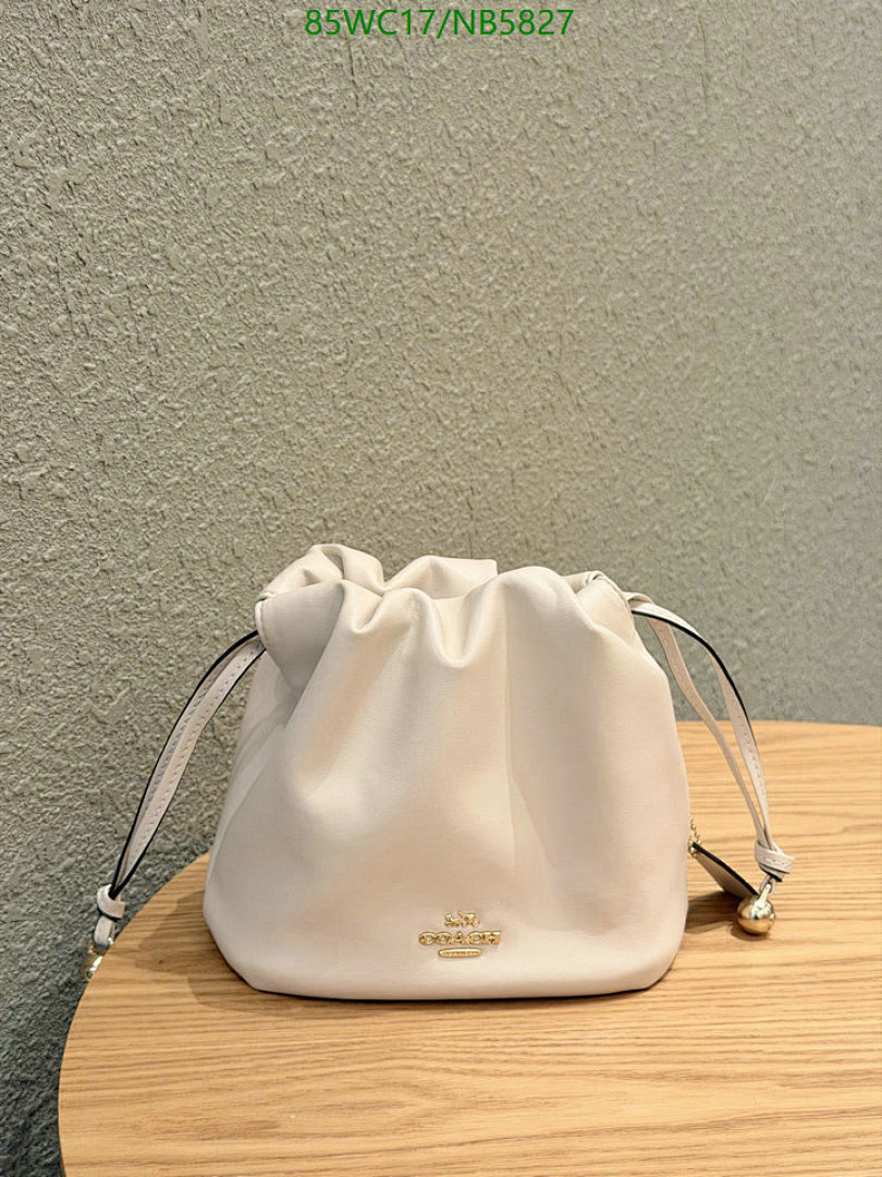 YUPOO-Counter Quality Coach bags Code: NB5827