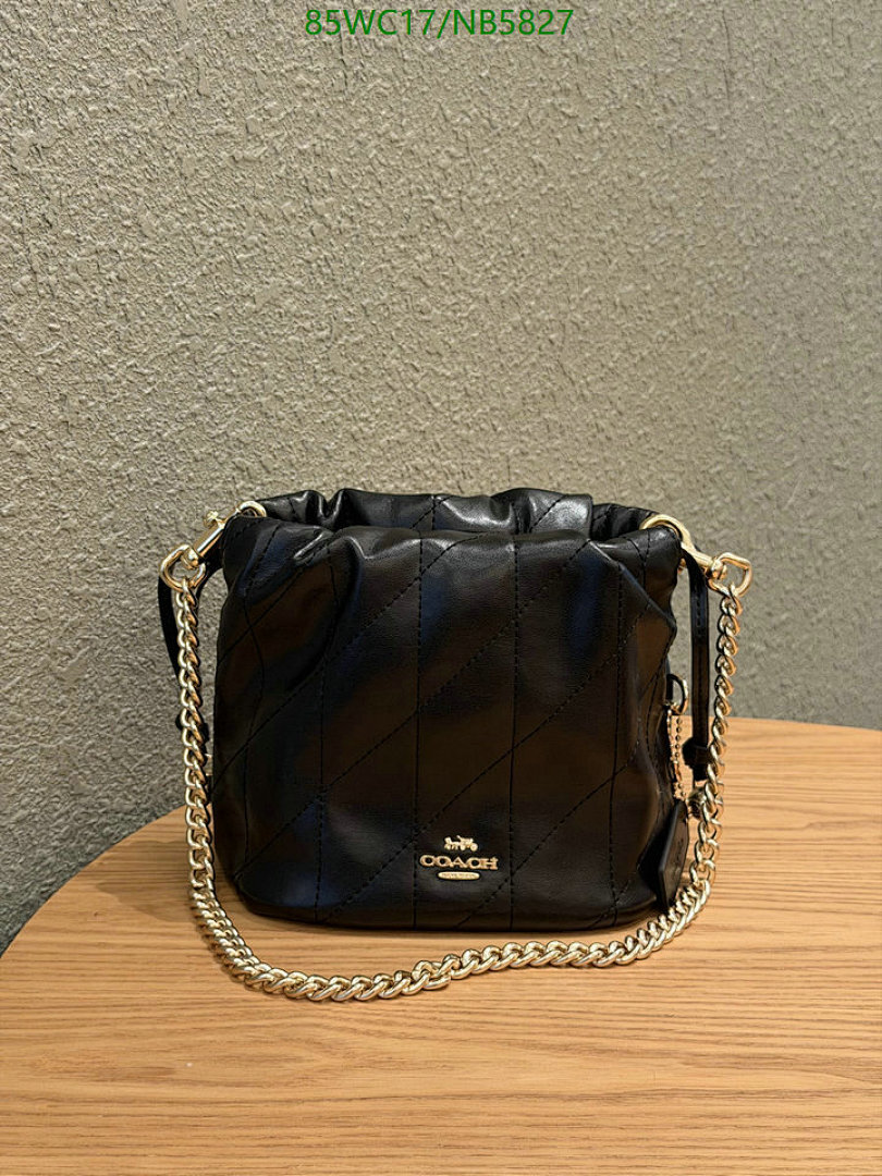 YUPOO-Counter Quality Coach bags Code: NB5827