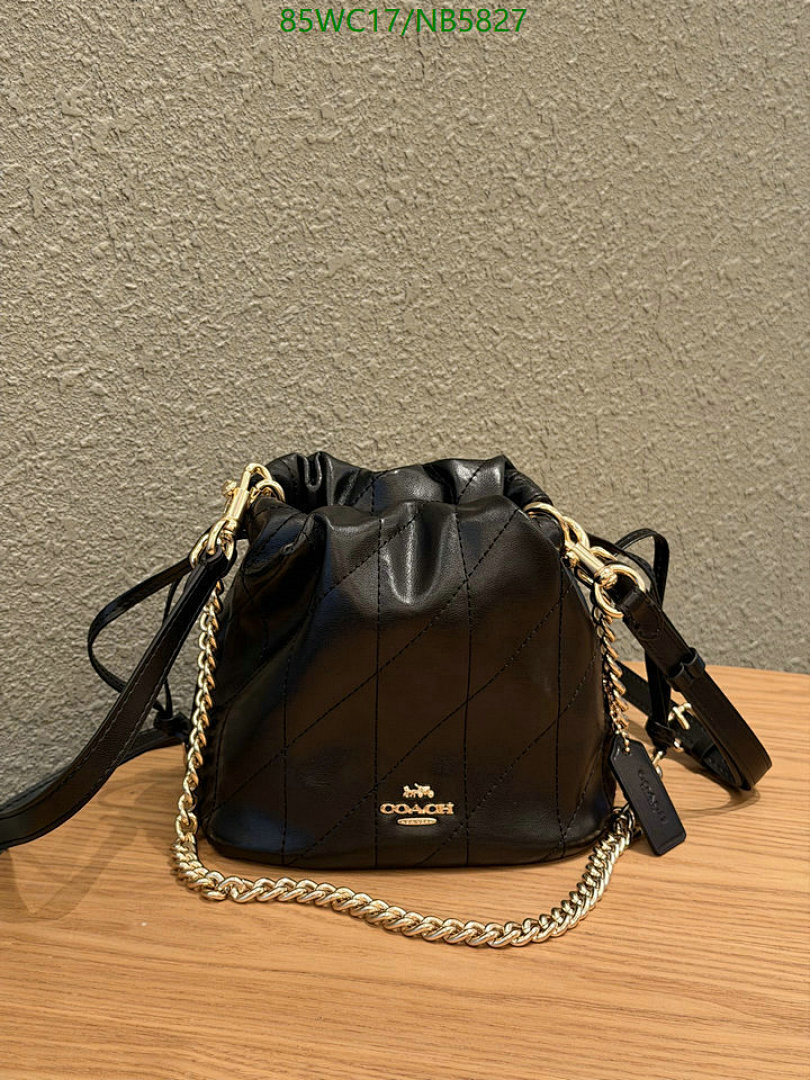 YUPOO-Counter Quality Coach bags Code: NB5827