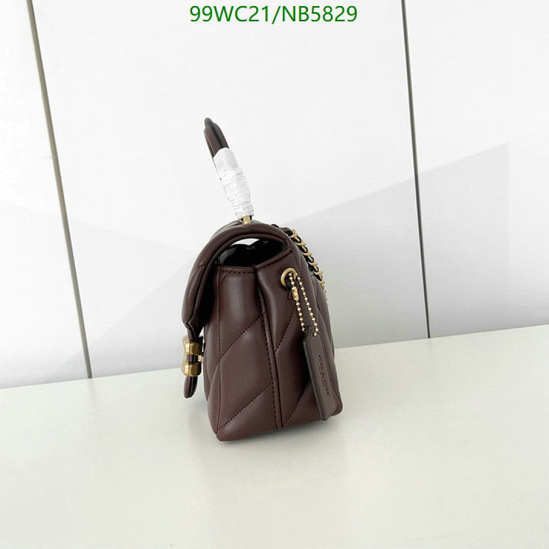 YUPOO-Counter Quality Coach bags Code: NB5829