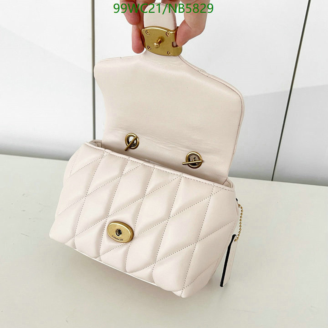 YUPOO-Counter Quality Coach bags Code: NB5829