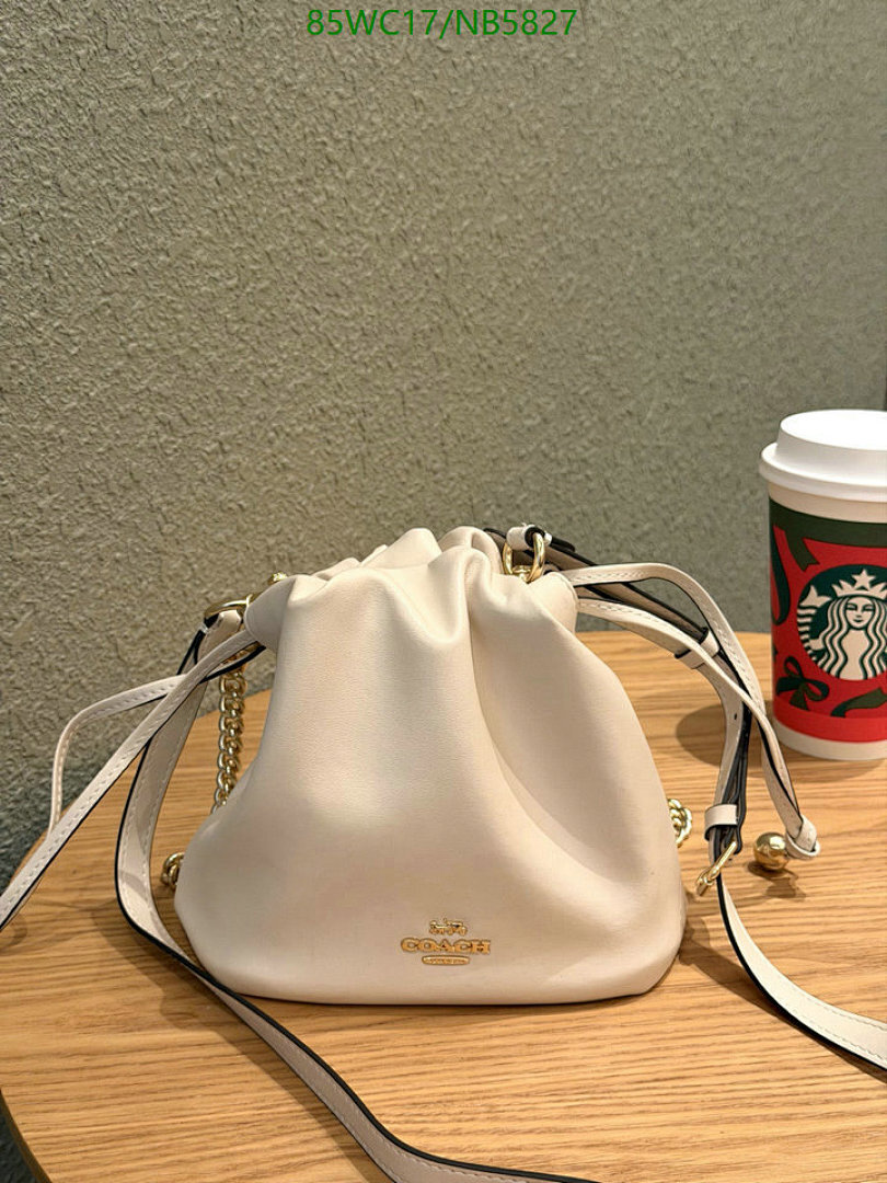 YUPOO-Counter Quality Coach bags Code: NB5827