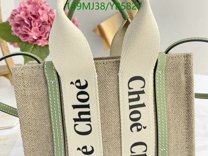 Chloe Bag-(Mirror)-Woody,Code: YB5827,$: 149USD