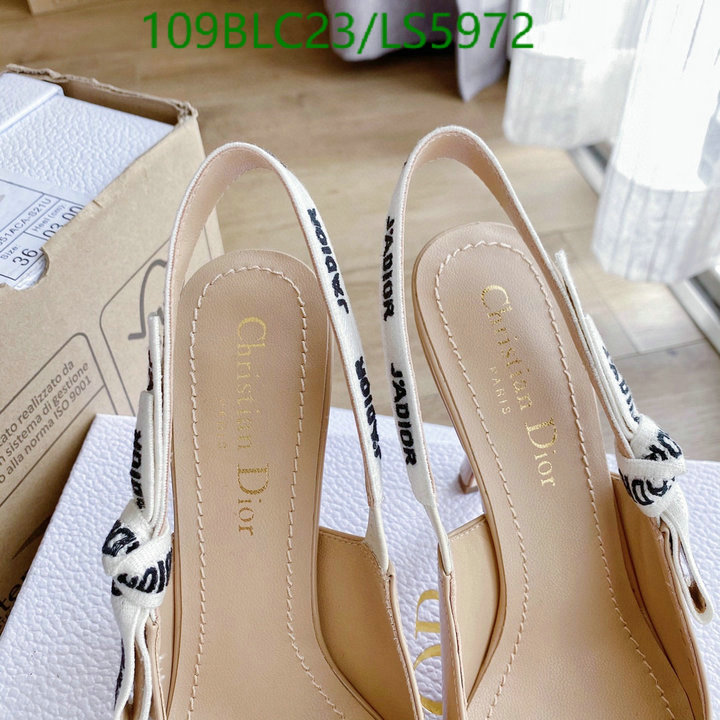 Women Shoes-Dior,Code: LS5972,$: 109USD