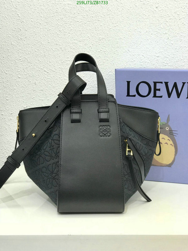 Loewe Bag-(Mirror)-Hammock,Code: ZB1733,$: 259USD