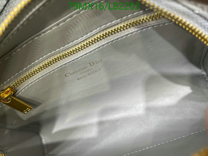 Dior Bags-(4A)-Other Style-,Code: LB2203,$: 79USD