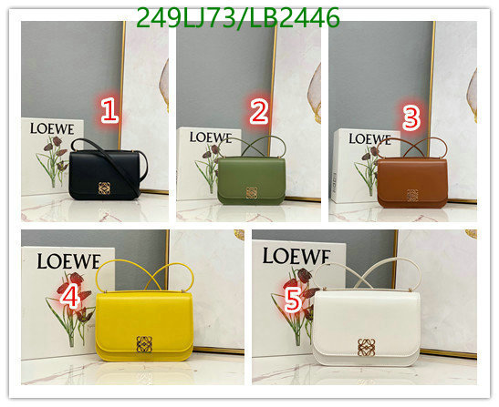 Loewe Bag-(Mirror)-Diagonal-,Code: LB2446,$: 249USD