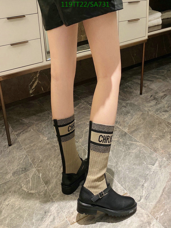 Women Shoes-Dior,Code: SA731,$: 119USD