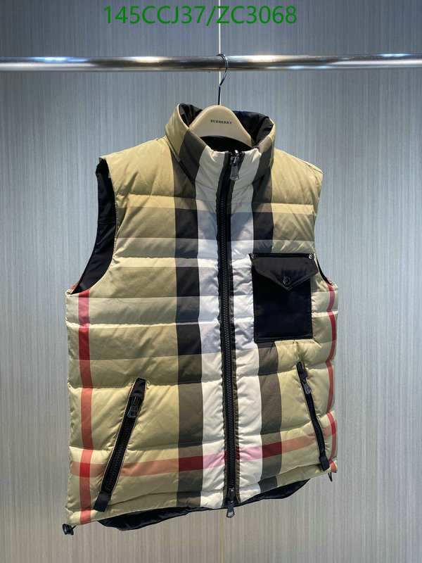 Down jacket Men-Burberry, Code: ZC3068,$: 145USD