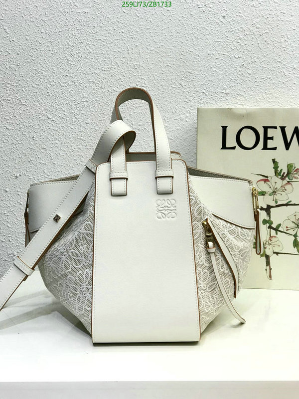 Loewe Bag-(Mirror)-Hammock,Code: ZB1733,$: 259USD