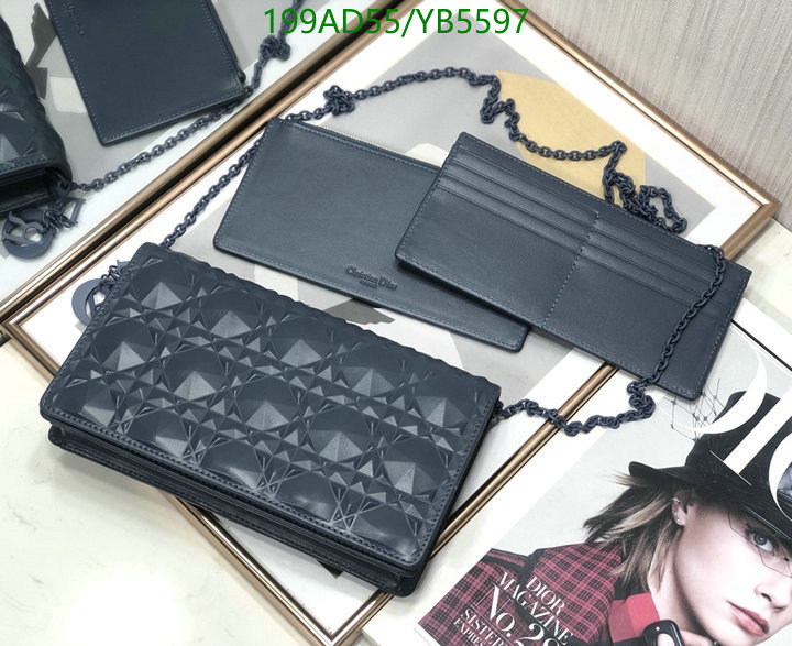 Dior Bags -(Mirror)-Other Style-,Code: YB5597,$: 199USD