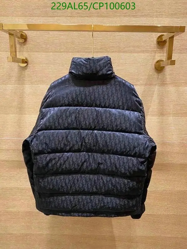 Down jacket Men-Dior, Code: CP100603,$: 229USD