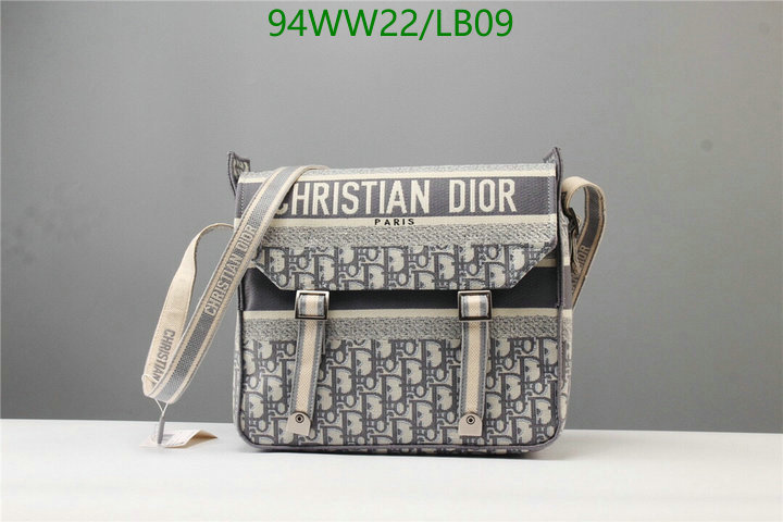 Dior Bags-(4A)-Other Style-,Code: LB09,$: 94USD