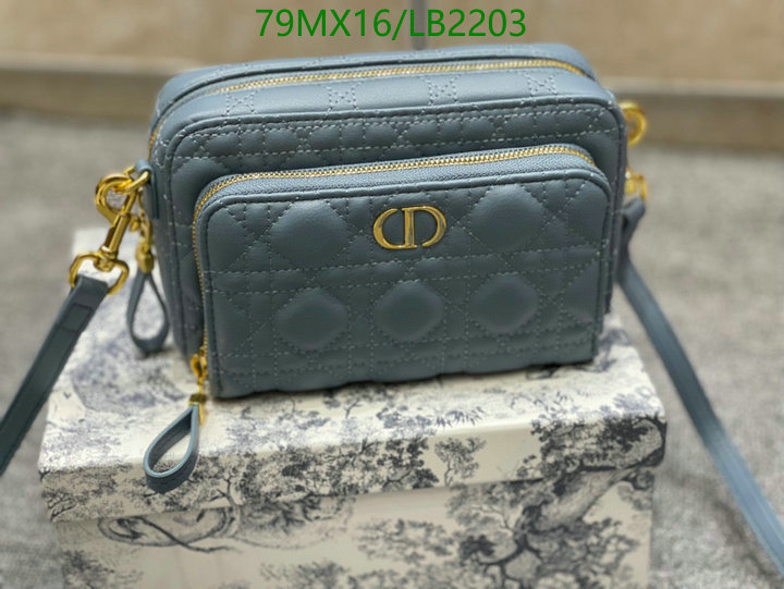 Dior Bags-(4A)-Other Style-,Code: LB2203,$: 79USD