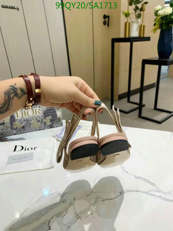 Women Shoes-Dior,Code: SA1713,$: 99USD