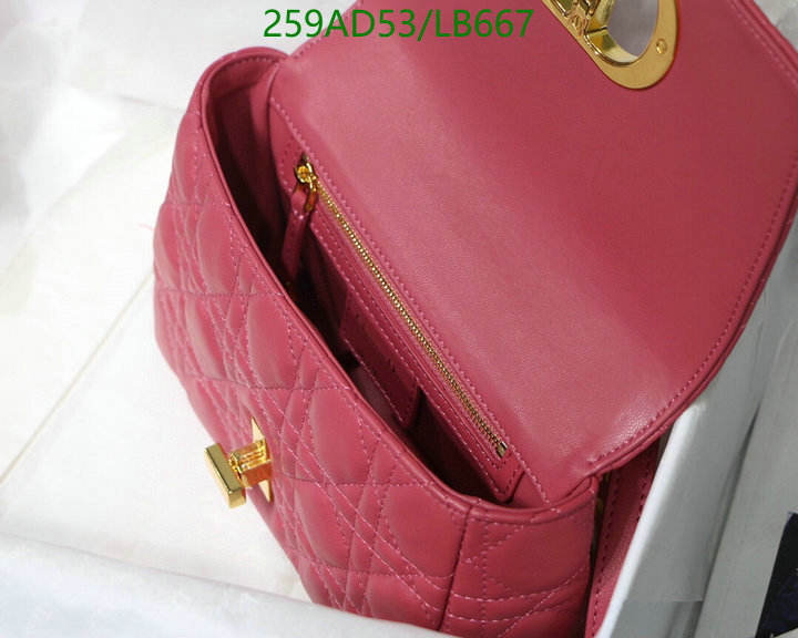 Mirror quality free shipping DHL-FedEx,Code: LB667,$: 259USD