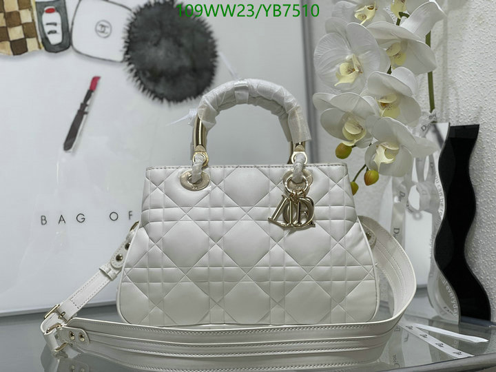 Dior Bags-(4A)-Other Style-,Code: YB7510,$: 109USD