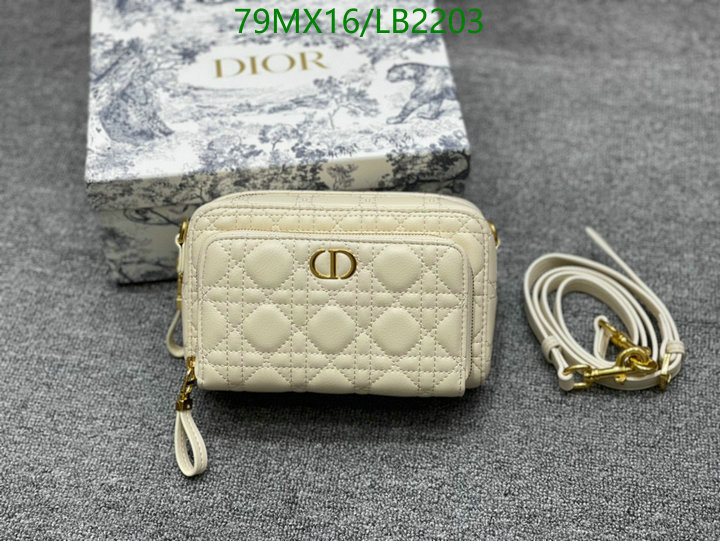 Dior Bags-(4A)-Other Style-,Code: LB2203,$: 79USD