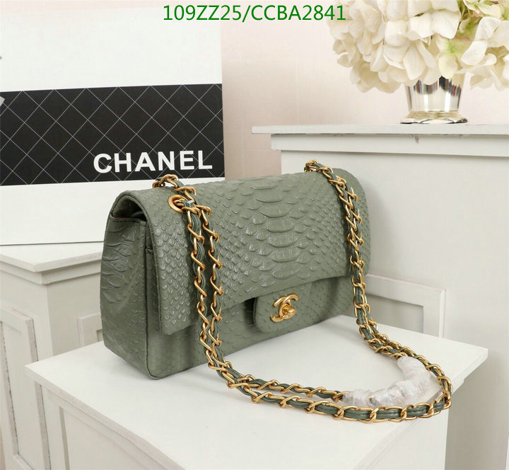 Chanel Bags ( 4A )-Diagonal-,Code: CCBA2841,$: 109USD