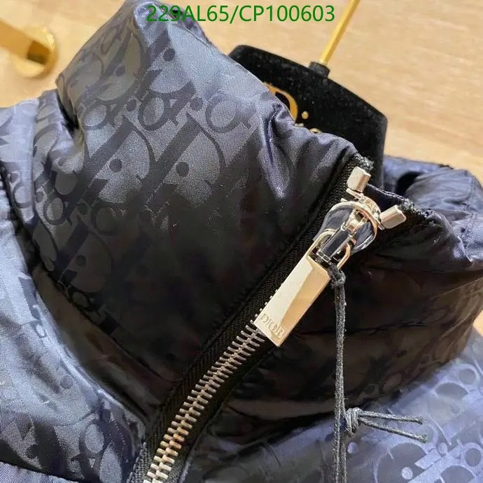 Down jacket Men-Dior, Code: CP100603,$: 229USD