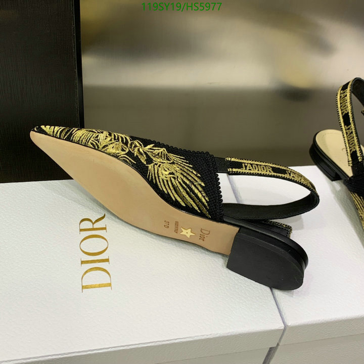 Women Shoes-Dior,-Code: HS5977,$: 119USD