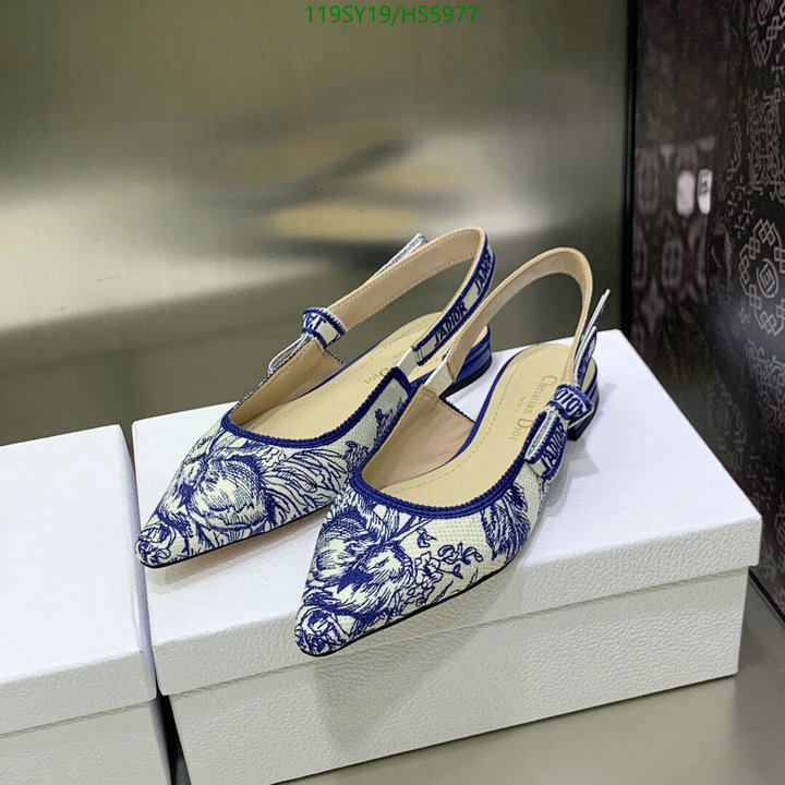Women Shoes-Dior,-Code: HS5977,$: 119USD