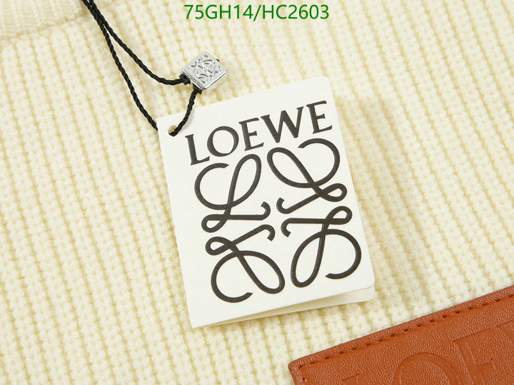 Clothing-Loewe, Code: HC2603,$: 75USD